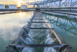 Water Plant