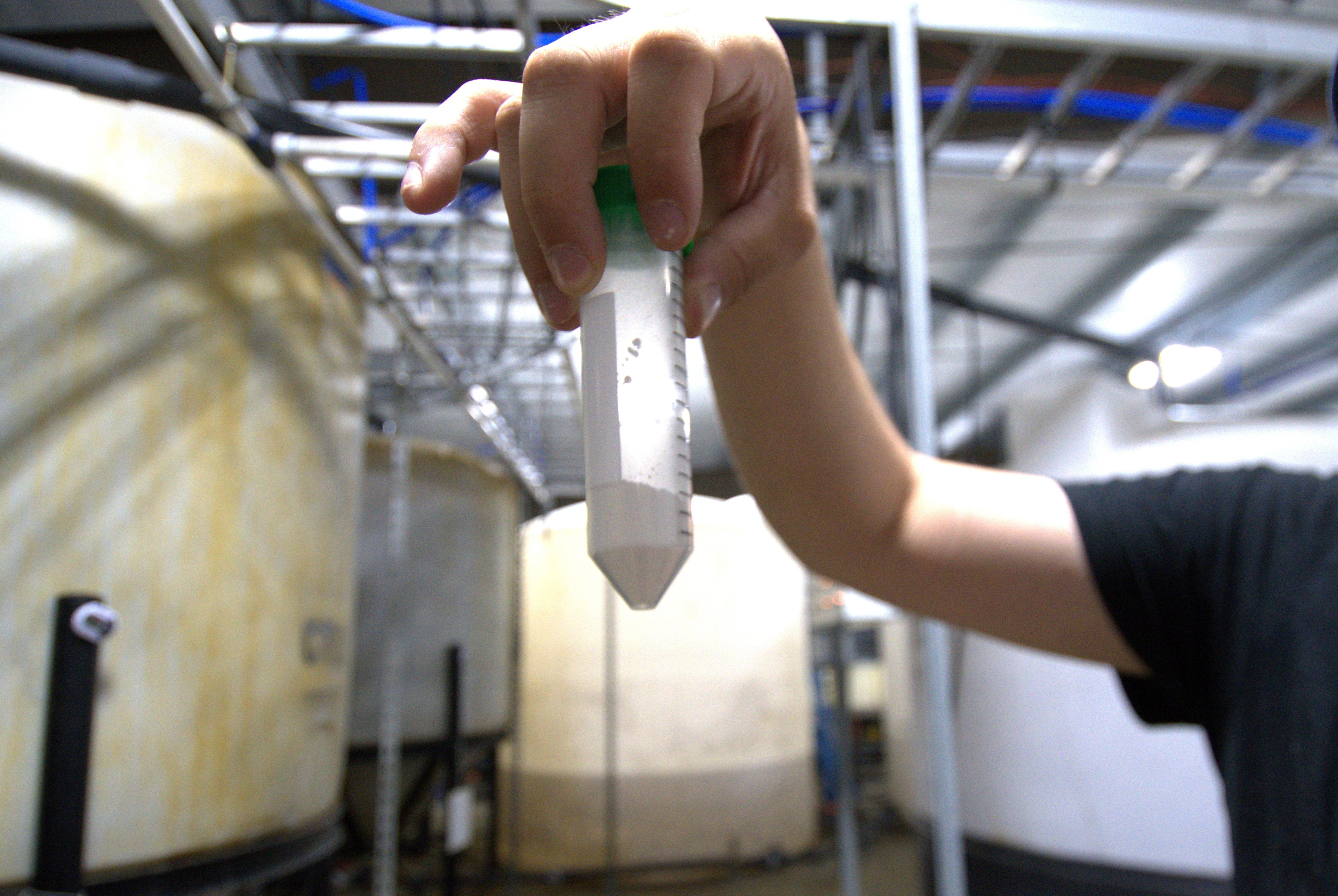 Dave Hoffman of West Virginia University's Water Research Institute holds up a vial of light rare earth oxides at a facility that separates them from acidic groundwater draining from an abandoned coal mine, June 25, 2024, in Mount Storm, W.Va.