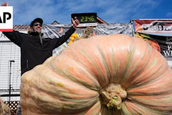 Massive orange pumpkin at World Pumpkin Weigh-Off with winner celebrating