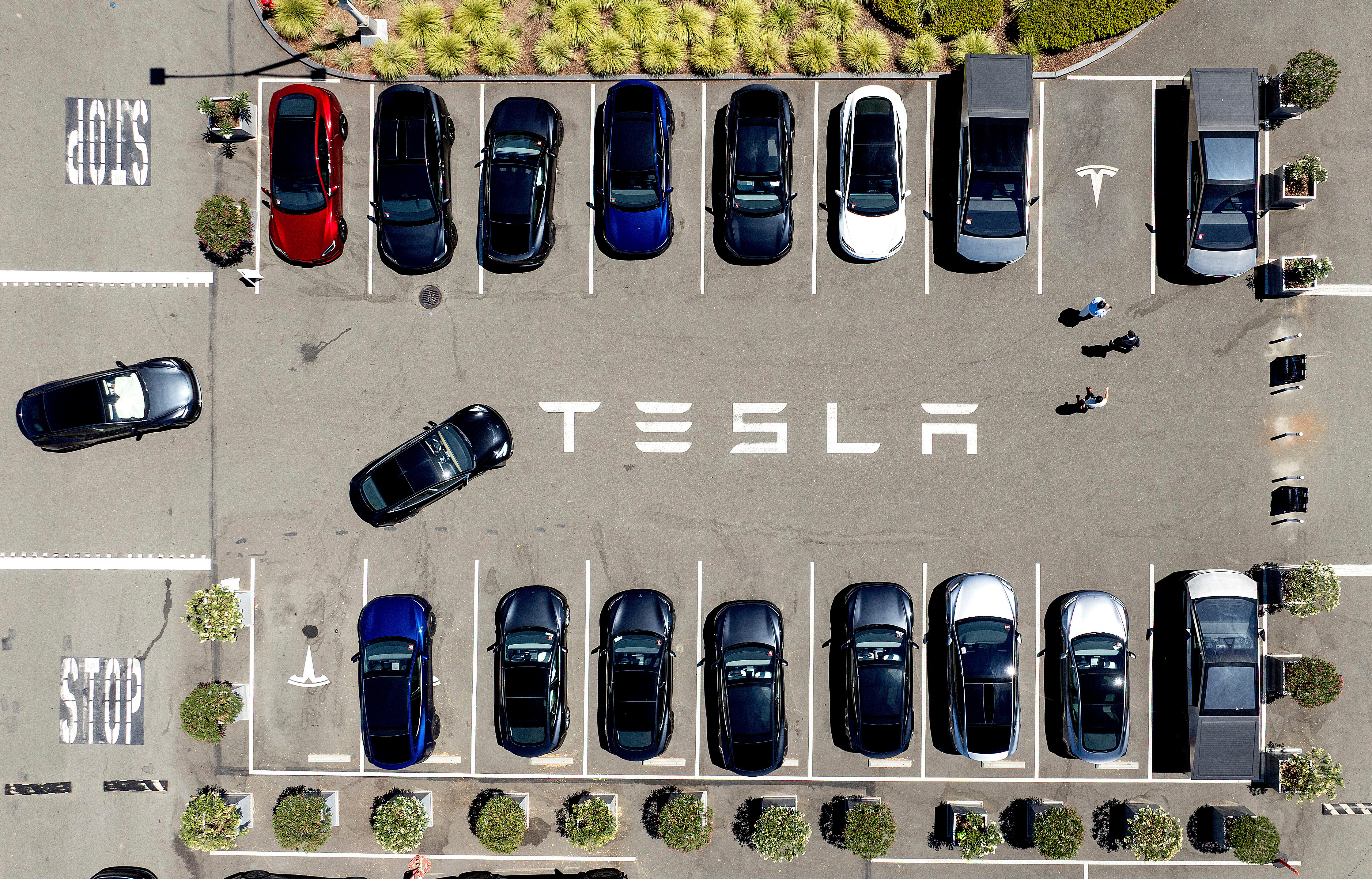 Aerial view of Tesla parking lot with multiple electric vehicles in parking spaces