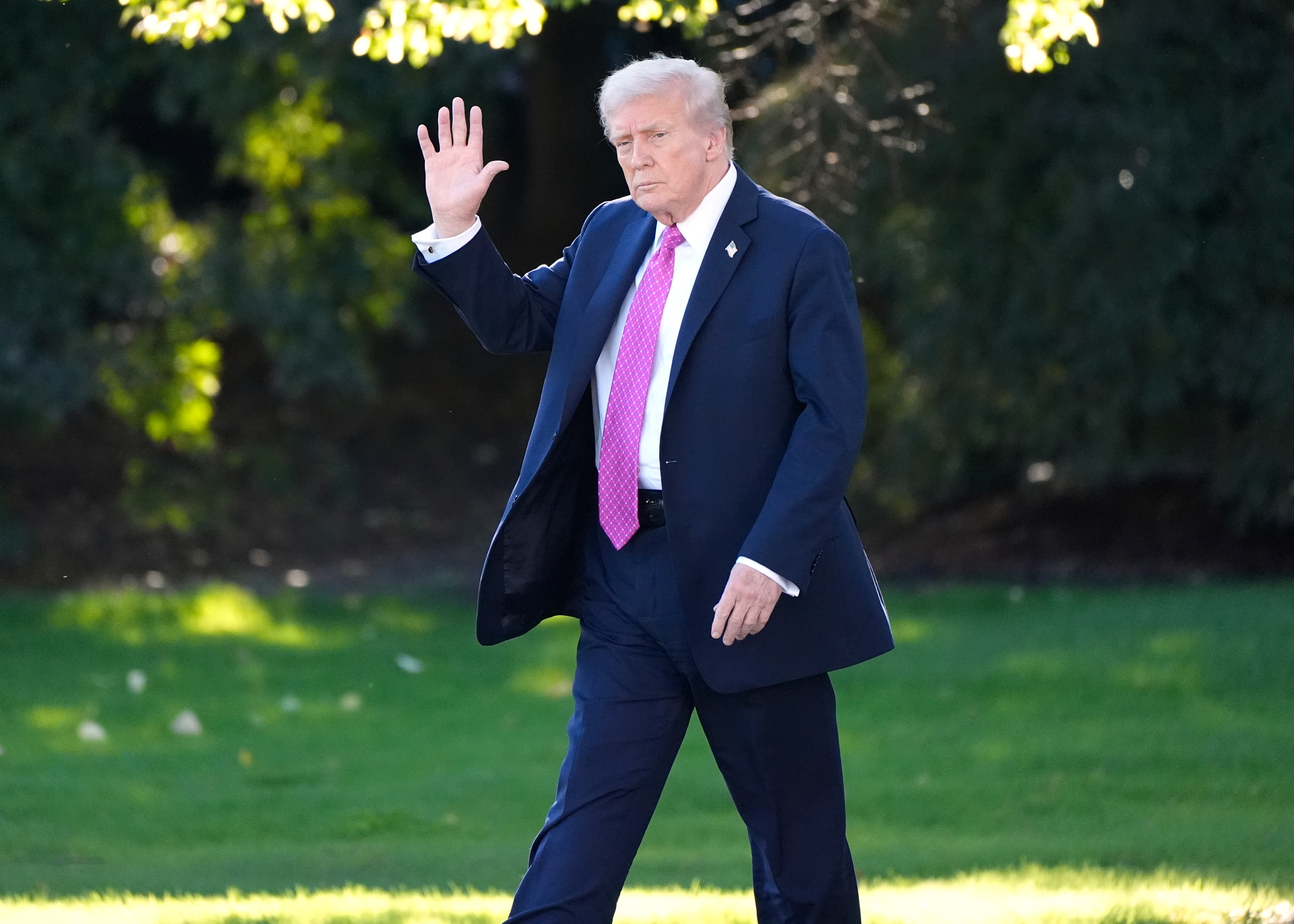 Person in navy suit and pink tie walking on green lawn, waving hand