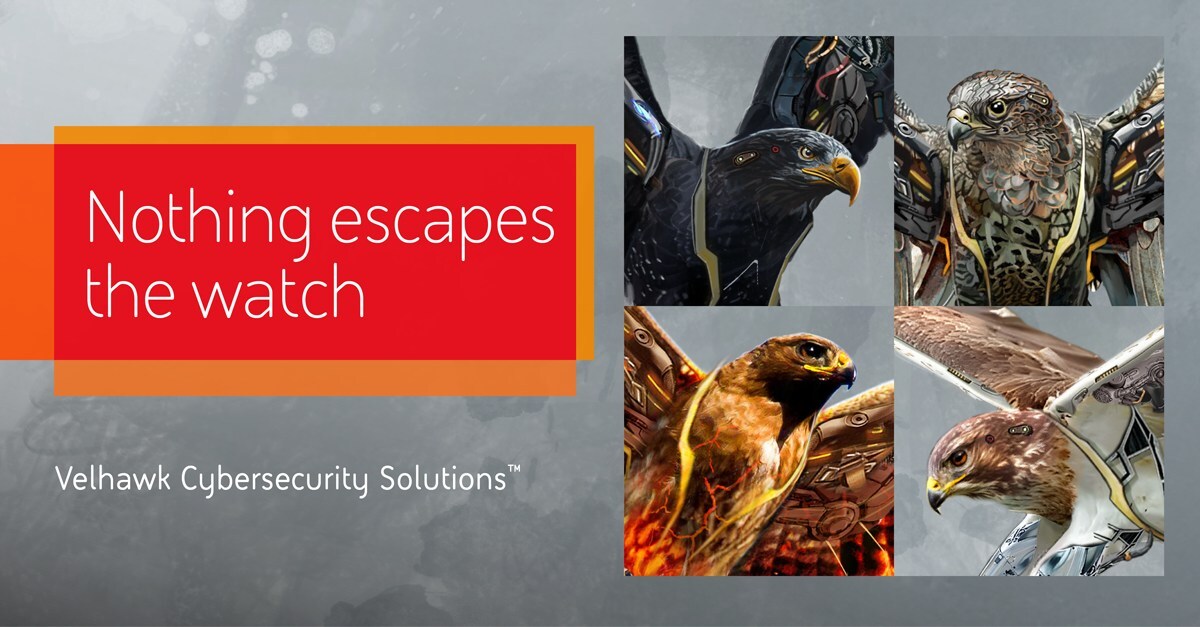 Velhawk Cybersecurity hawk surveillance graphic with 'Nothing escapes the watch' slogan