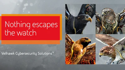 Velhawk Cybersecurity hawk surveillance graphic with 'Nothing escapes the watch' slogan