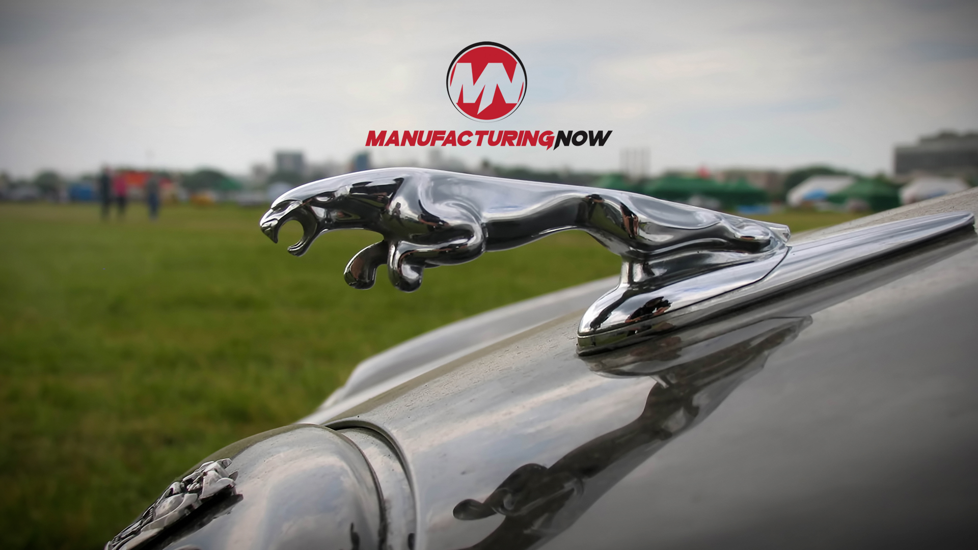 Chrome Jaguar leaping hood ornament on silver vehicle with grassy background