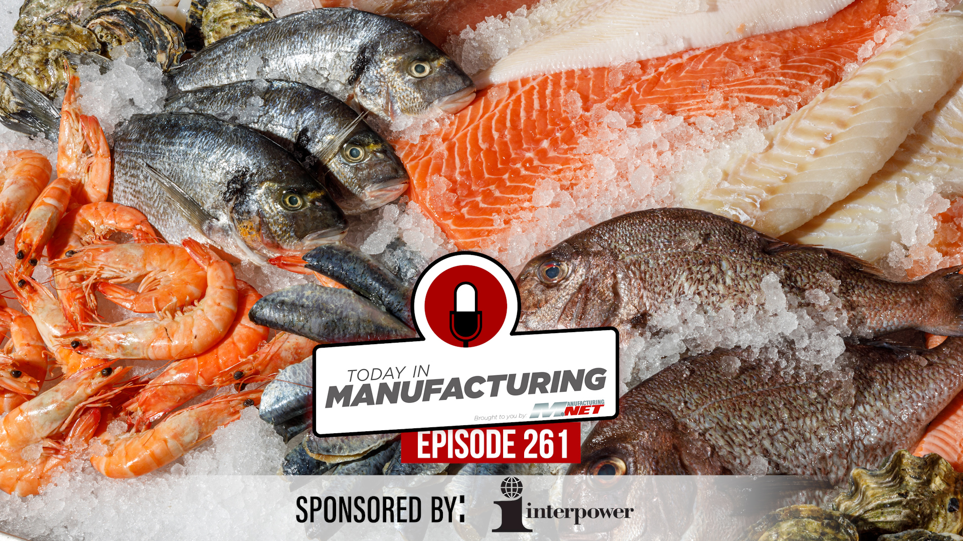 Today in Manufacturing Episode 261 logo overlay on fresh seafood display with fish, shrimp, and salmon fillets on ice