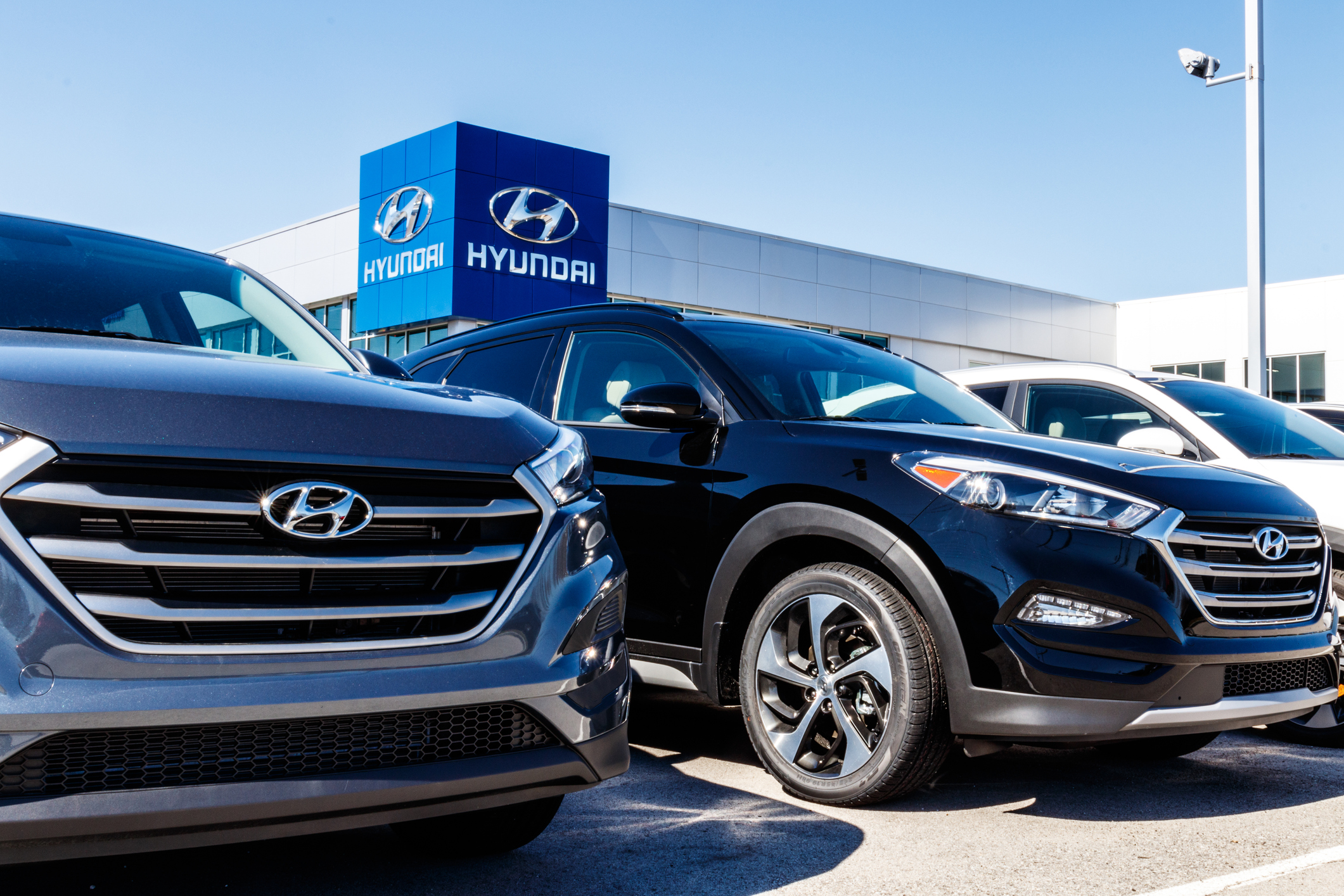 Hyundai dealership showroom with blue vehicles and branded signage under clear sky