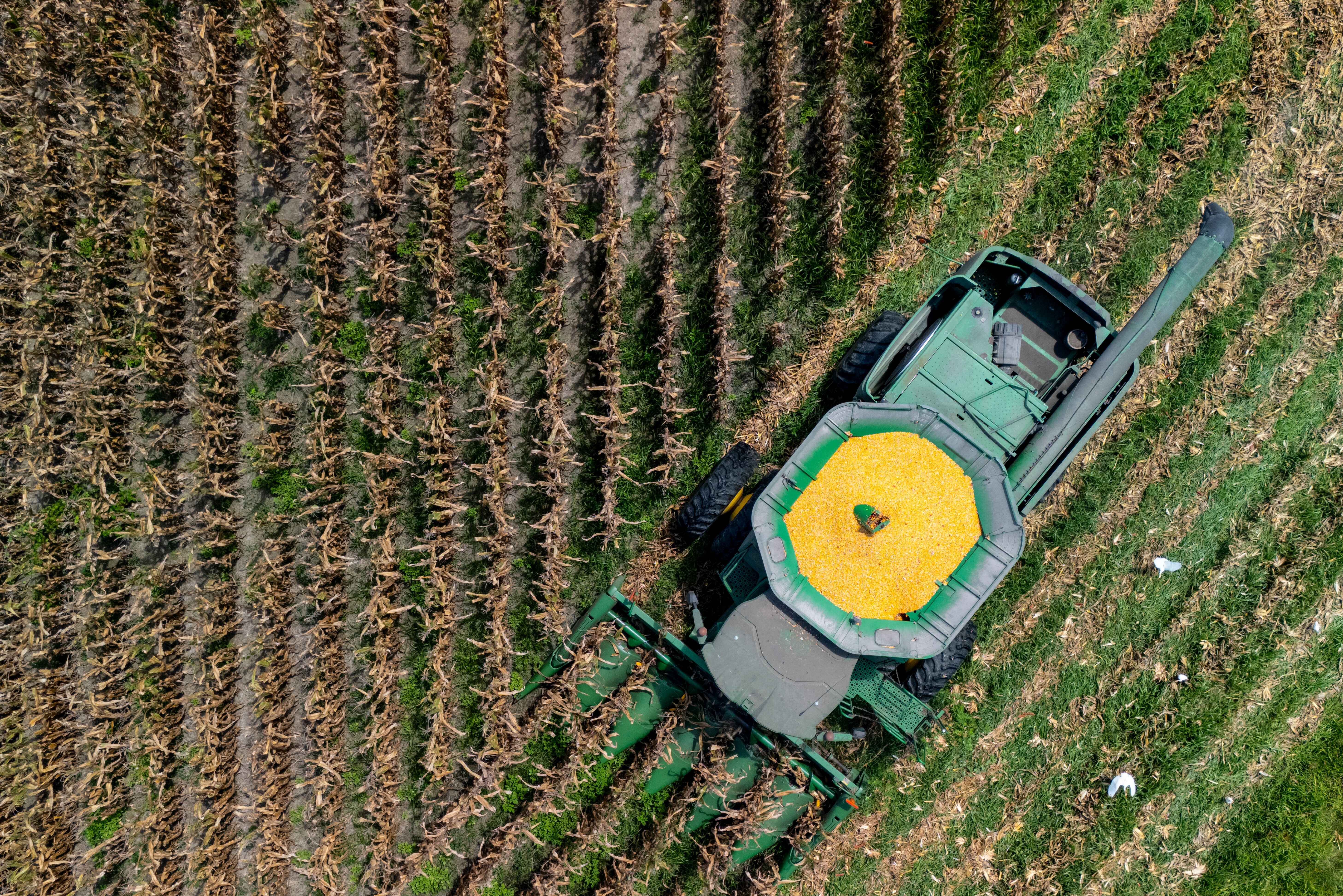 Aerial view of green tractor with yellow grain cart harvesting rows of crops in agricultural field