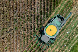 Aerial view of green tractor with yellow grain cart harvesting rows of crops in agricultural field
