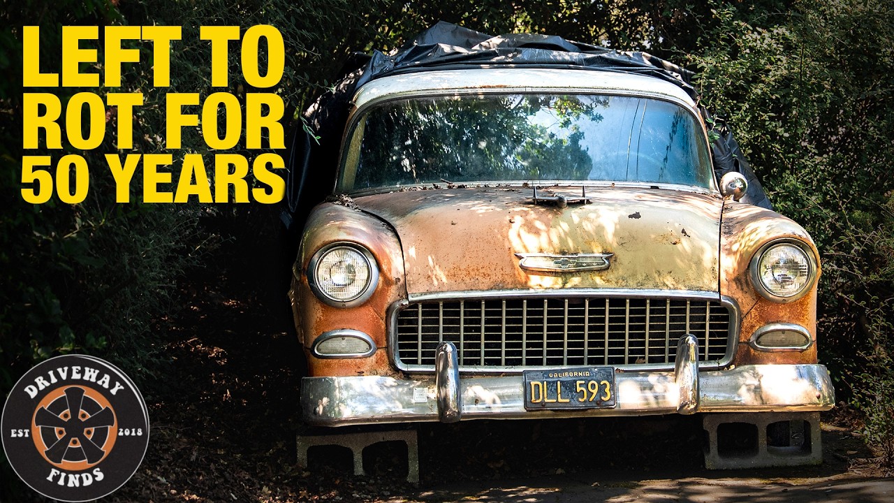 Rusted 1955 Chevrolet abandoned for 50 years, covered in orange patina and decay among overgrown vegetation