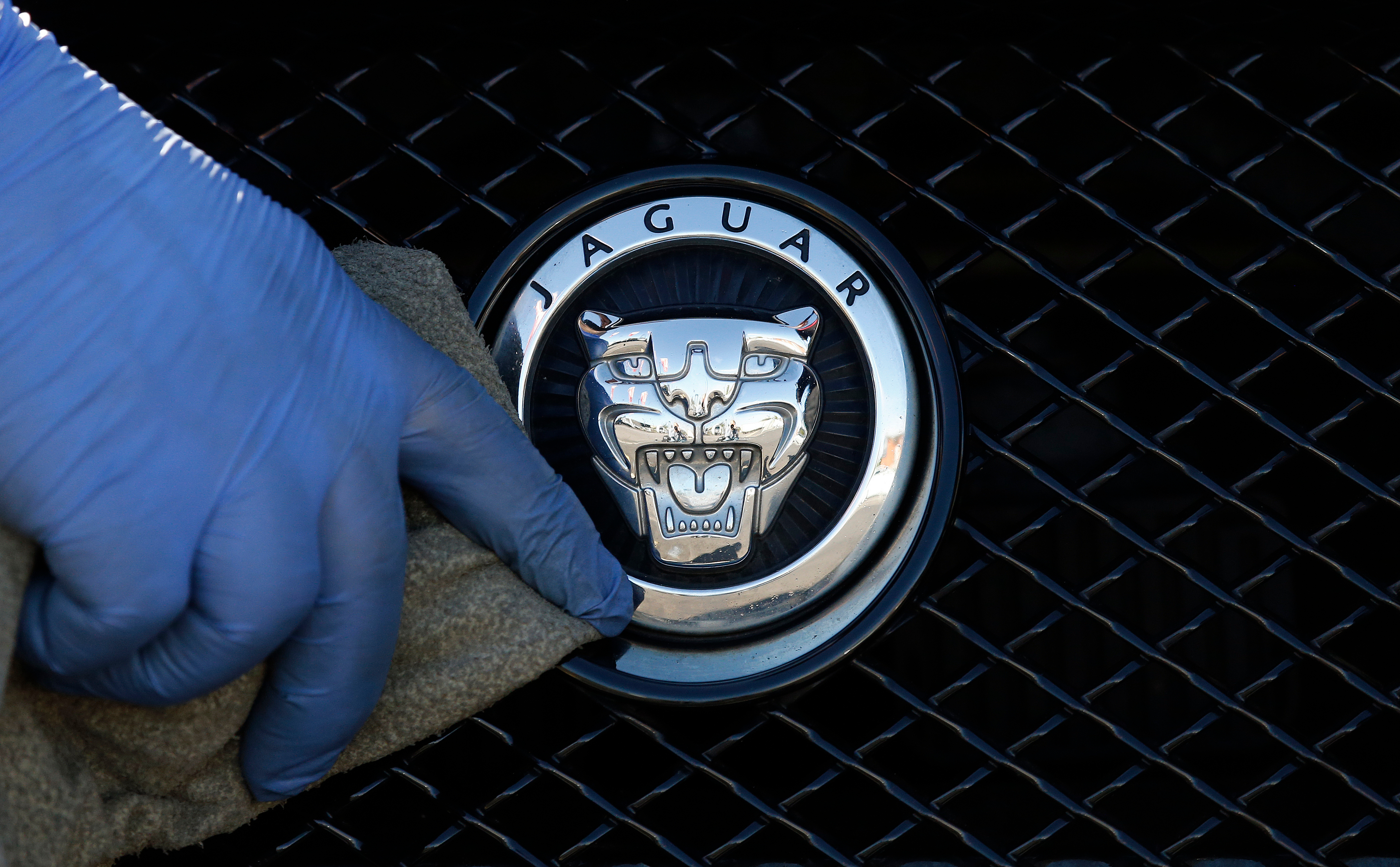 Jaguar logo emblem on vehicle grille with gloved hand touching chrome badge