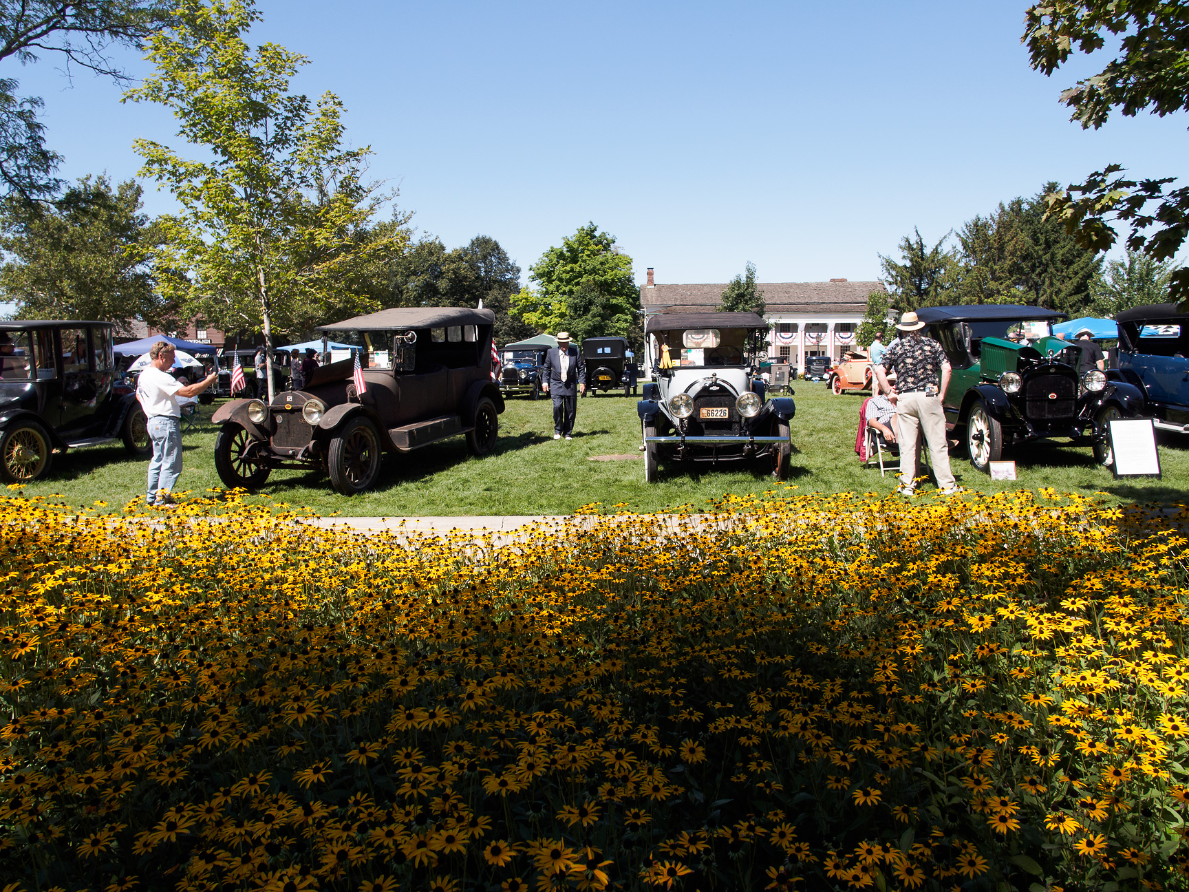 Vintage car show in a park with classic automobiles, visitors, and yellow flowers in foreground