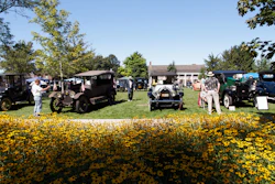 Vintage car show in a park with classic automobiles, visitors, and yellow flowers in foreground