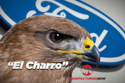 Close-up of a hawk with yellow eye-ring and beak against Ford blue logo background, labeled 'El Charro'