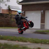 Stunt rider performing wheelie on red motorcycle in residential neighborhood street